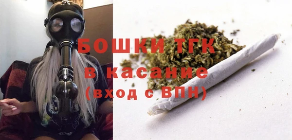 ПСИЛОЦИБИНОВЫЕ ГРИБЫ Магас