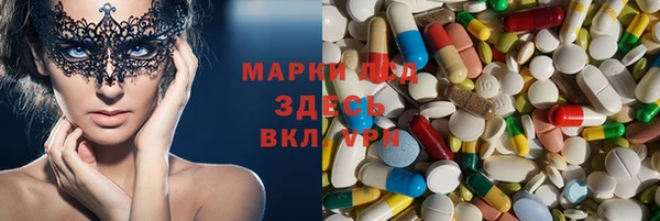 ПСИЛОЦИБИНОВЫЕ ГРИБЫ Магас
