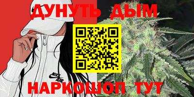 крисы Гагарин