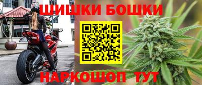 спайс Гатчина