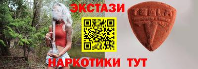 крисы Гагарин