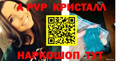 крисы Гагарин