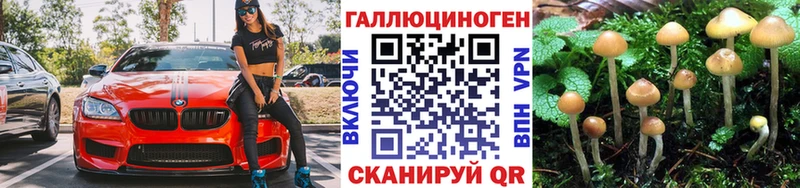 Галлюциногенные грибы Magic Shrooms  как найти наркотики  маркетплейс официальный сайт  Казань 
