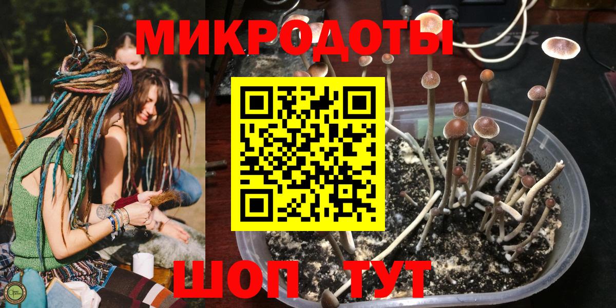 Галлюциногенные грибы прущие грибы Казань
