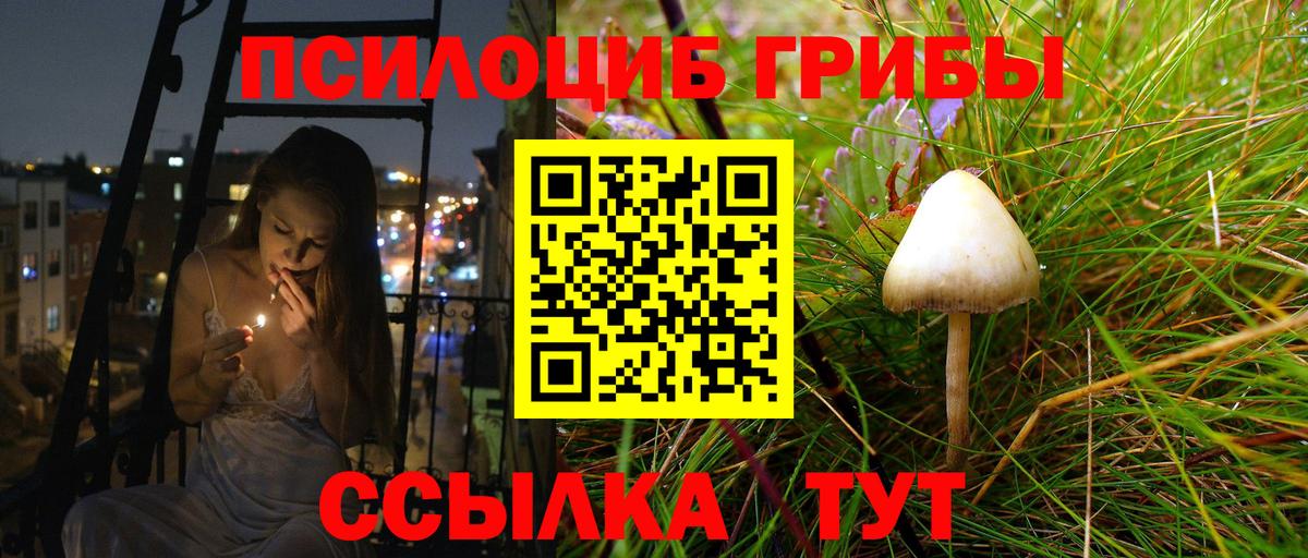 Казань  Псилоцибиновые грибы Cubensis  Вход с VPN 