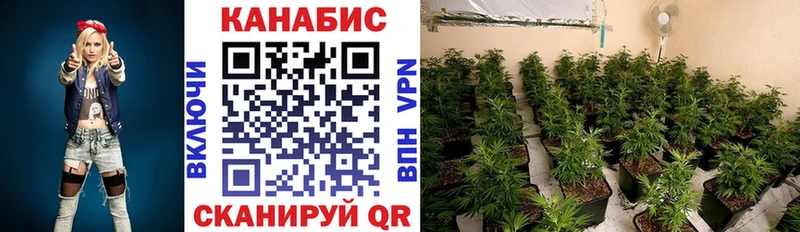 Марихуана марихуана Казань